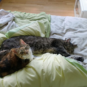 Schau nicht so...jetzt werden die Betten nicht gemacht! Senioren haben hier das Sagen!