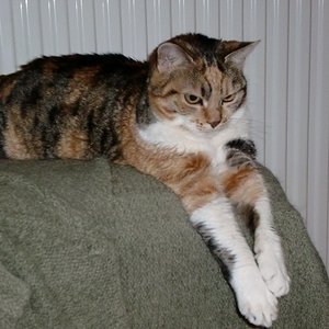 Das beim Abhängen die Pfoten sooo lang werden....