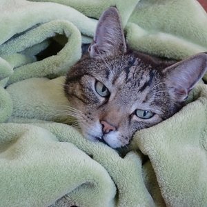 Ja, ich manchmal fühlt man sich so alt, wie man(n) ist und braucht dann gaaaanz viel Liebe.