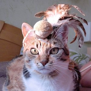 Prinzessin will jetzt nicht spielen...