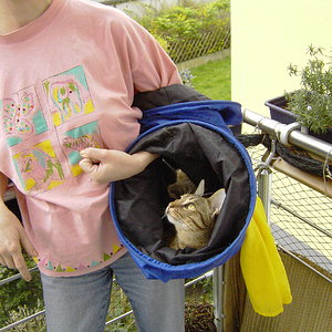 Okito nach einer Tour im Rascheltunnel durch die Wohnung auf den Balkon