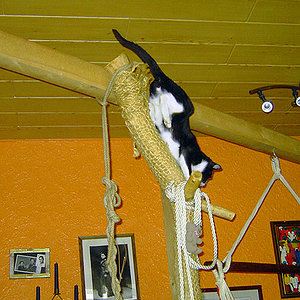 Irgendwie geht es hier auch wieder runter