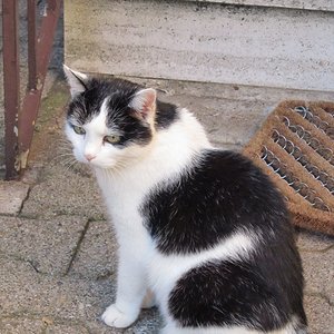 Tabsi-unser Sensibelchen