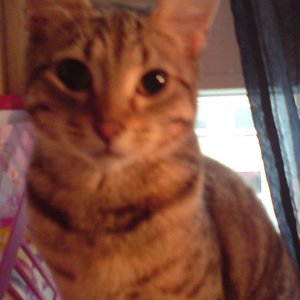 und das ist klein Lily