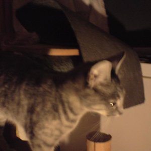 Hir ist noch mal Mia