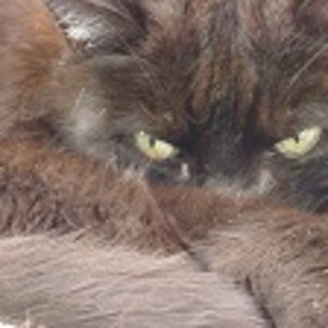 Webby 🐾 19.02.2013