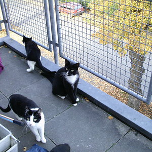 Zufallsfoto mit Thommy Lucky und Blacky !