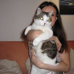 Das Leben ist hart. Polstern sie ihres mit einer Katze.