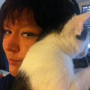 Juno ist schon ein ganz schön großer Stubentiger! ;-) (7,5 Monate alt)