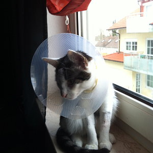 Jupitersonde Juno beobachtet genau...