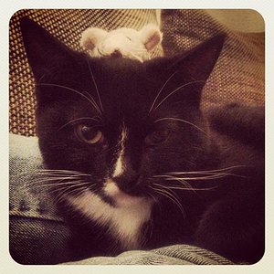 die kleine Geri mit ihrer Maus