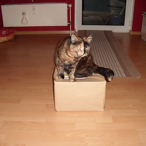 k Weihnachtswichteln 002