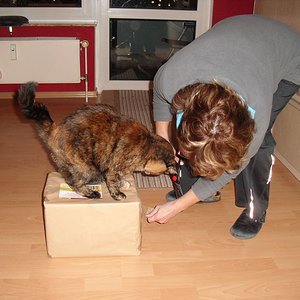 k Weihnachtswichteln 003