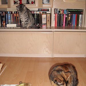 k Weihnachtswichteln 010