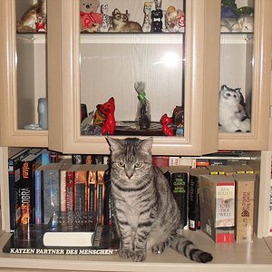 k Weihnachtswichteln 011