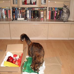 k Weihnachtswichteln 013