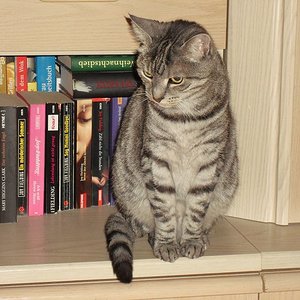 k Weihnachtswichteln 014