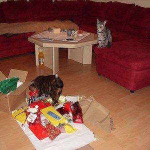 k Weihnachtswichteln 023