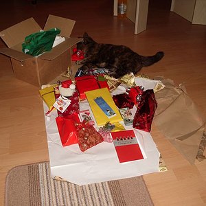 k Weihnachtswichteln 024