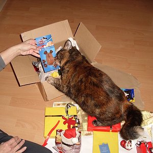 k Weihnachtswichteln 028