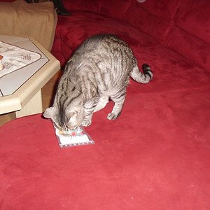 k Weihnachtswichteln 039