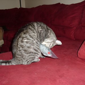 k Weihnachtswichteln 041