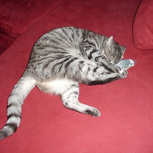 k Weihnachtswichteln 043