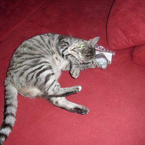 k Weihnachtswichteln 044