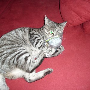 k Weihnachtswichteln 045