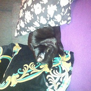 die kleine Diva ihr 1 tag bei uns