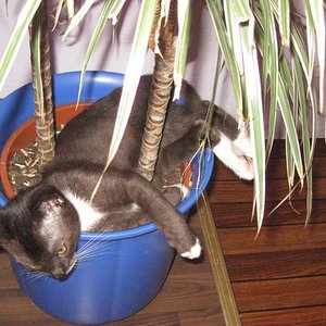 Schon etwas zu groß ;-)