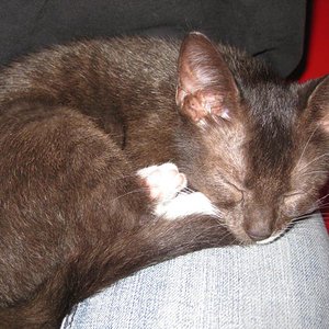 noch ganz klein und unschuldig ;-)