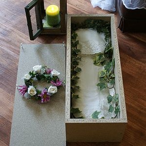 Felidae´s Katzensarg... :(