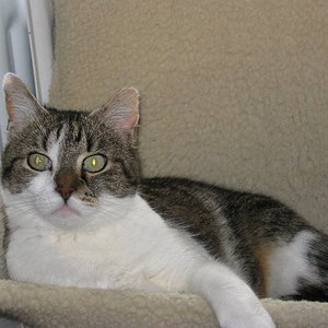 Meine unvergessene Tobi-Dame