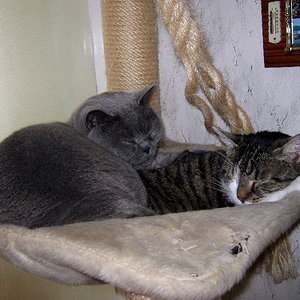 Bosso und Tobi als Dreamteam