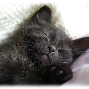 Lordi noch ganz klein...