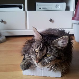 Platz ist im kleinsten Karton!