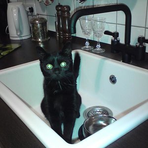 Ein Klassiker glaub ich.