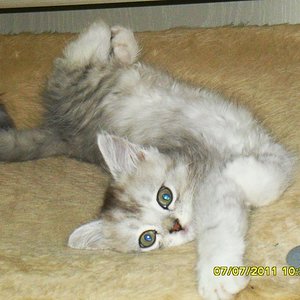 Hach, so kann es weiter gehen!