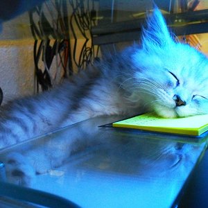 unter meiner Tastatur