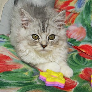 10.08.2011 Balkon Ruhe