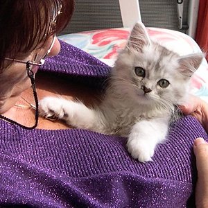 Bei Mama im Pullover