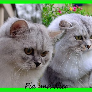 Pia und Nico