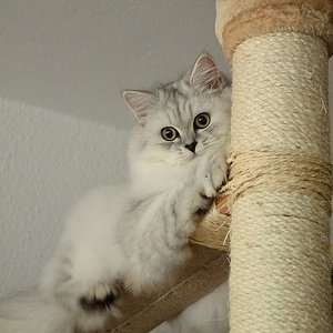 Pia in luftiger Höhe