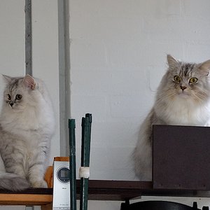 beide auf dem Hochsitz