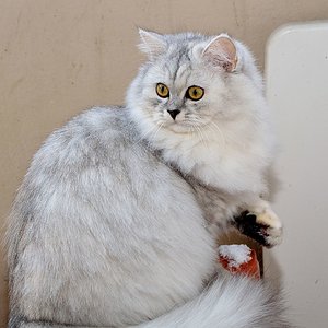 Pia meint, ist nix für sie...