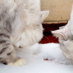 Beide bewundern den Schnee im Januar 2013