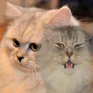 Meine beiden Süßen!