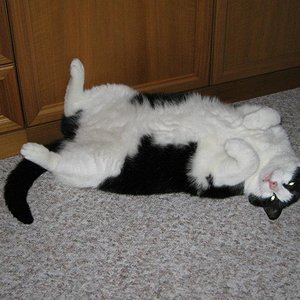 479932 344680975614715 1048107273 n