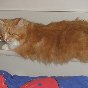 In unserem Schlafzimmer